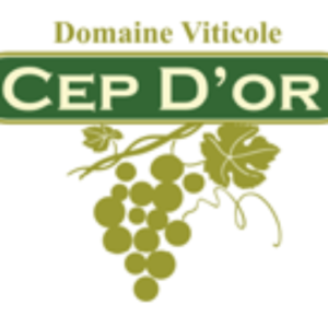 Logo Cep d'Or